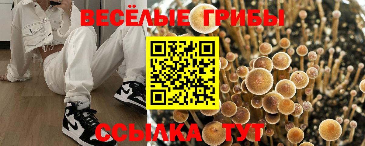 продажа наркотиков  Вход с VPN  Отрадное  Галлюциногенные грибы Cubensis 